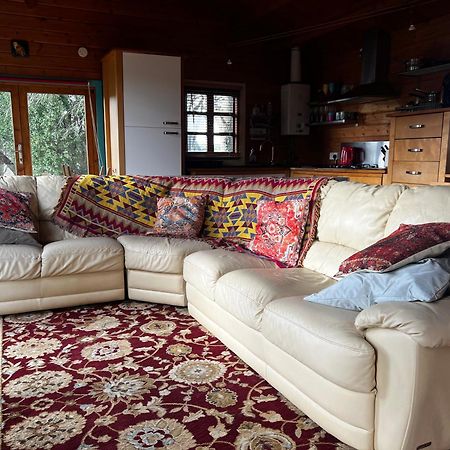 Tudor Lodge With Pool & Bbq Cabin Liskeard Buitenkant foto
