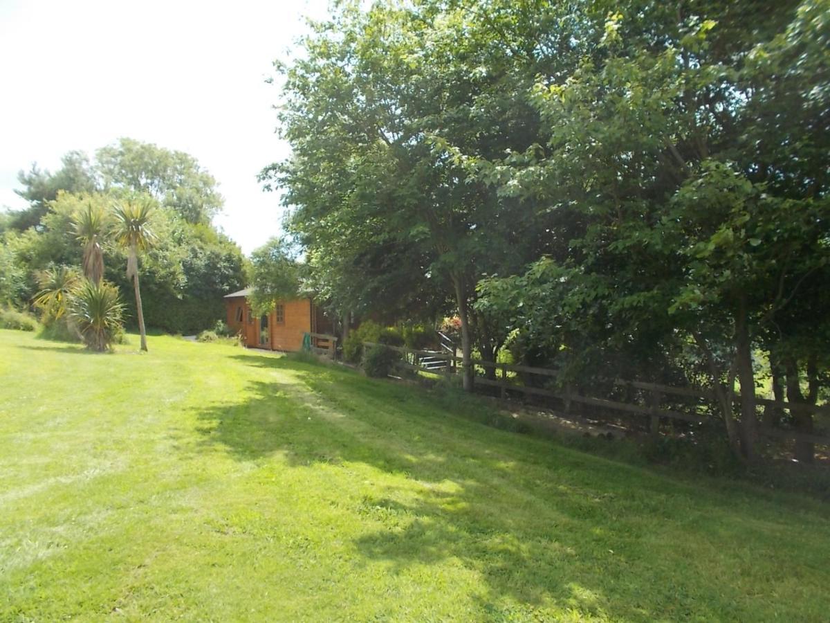 Tudor Lodge With Pool & Bbq Cabin Liskeard Buitenkant foto