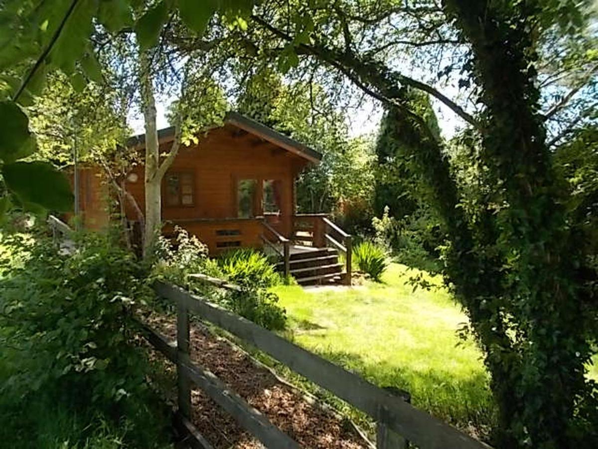 Tudor Lodge With Pool & Bbq Cabin Liskeard Buitenkant foto